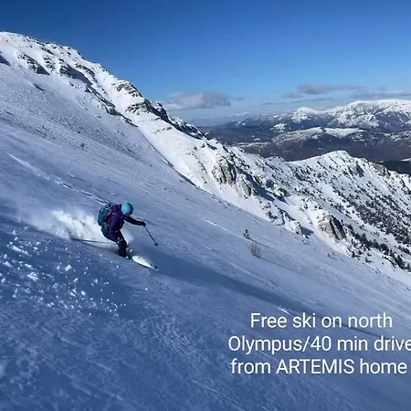 בית נופש Artemis' Stone House *